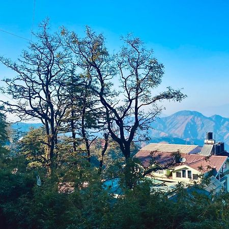 Bed and Breakfast The Travelista Shimla Zewnętrze zdjęcie