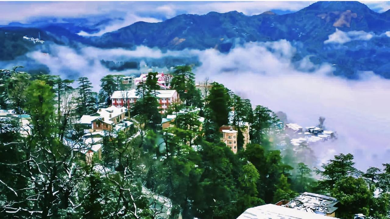 Bed and Breakfast The Travelista Shimla Zewnętrze zdjęcie